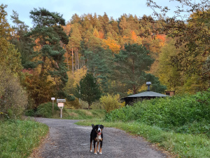 Jägerhütte im Herbst 2021